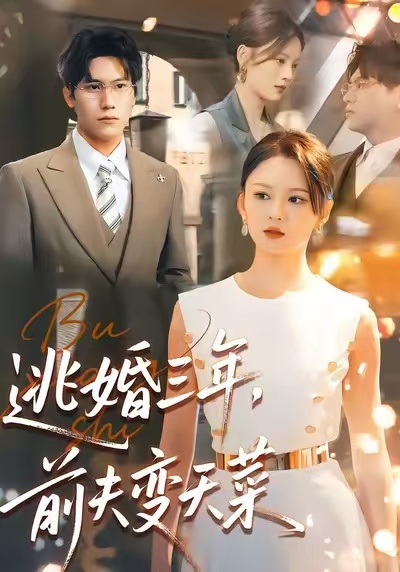 逃婚三年，前夫变天菜刘开心