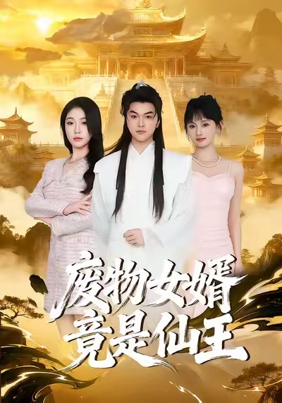 废物女婿竟是仙王胥宁轲