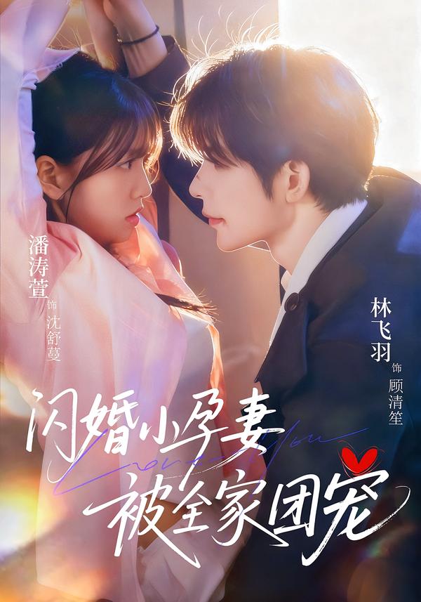 闪婚小孕妻被全家团宠林飞羽