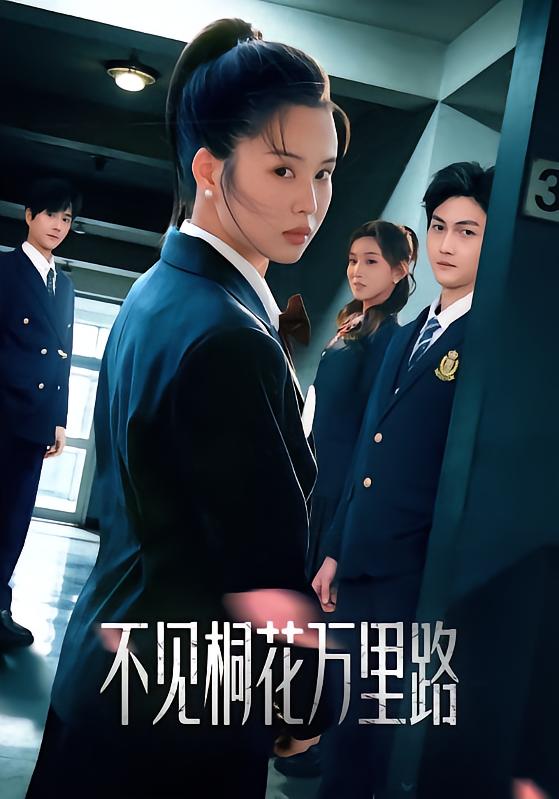 不见桐花万里路灵川贝贝