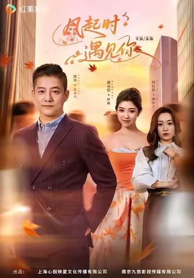 风起时遇见你滕林