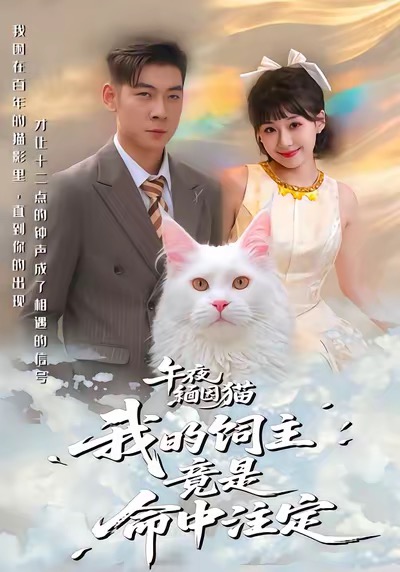 午夜缅因猫我的饲主竟是命中注定白龙